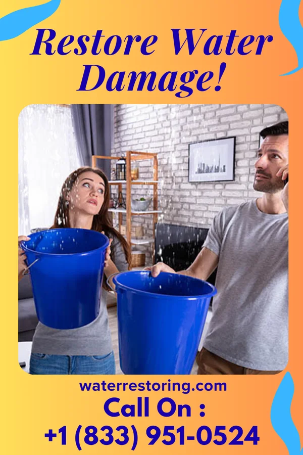 water restoration New Damage Recovery Group Halesite