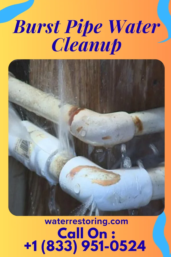 Burst Pipe Water Cleanup in Halesite, NY