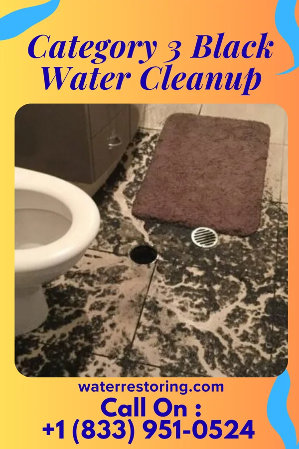 Category 3 Black Water Cleanup in Halesite, NY