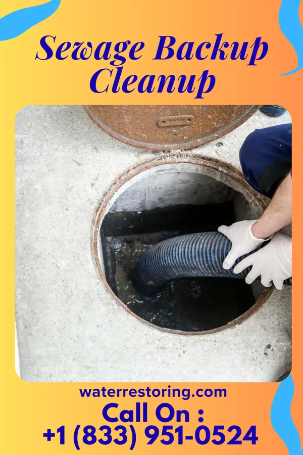 Sewage Backup Cleanup in Halesite, NY