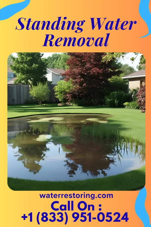 Standing Water Removal in Halesite, NY